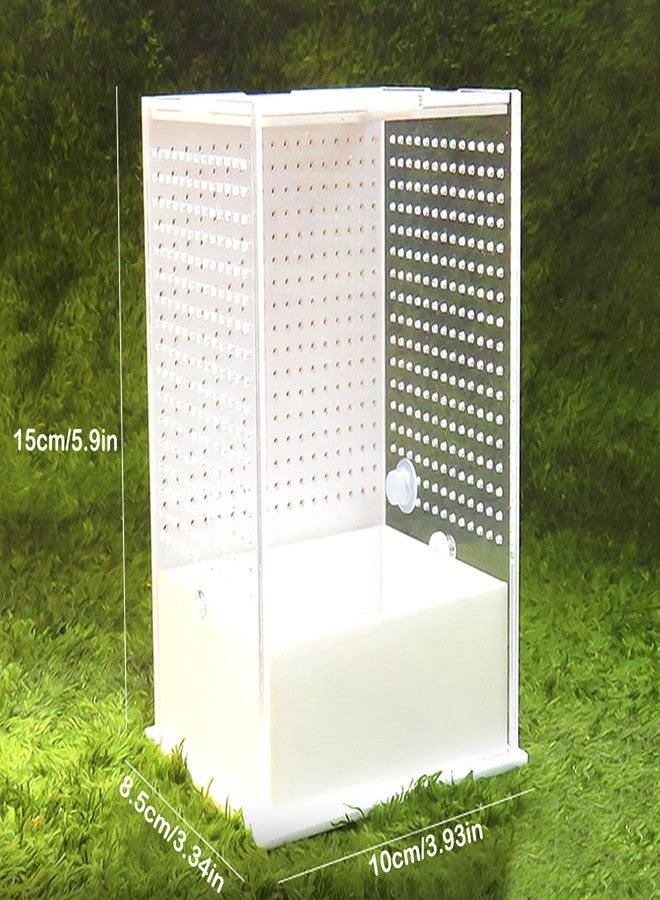 OMEM Reptile Breeding Box, Insect Incubator, for Orchid Mantis, African Phantom Mantis, Reptile Resting Habitat and Entertainment - Image 2